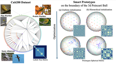 Horospherical learning with smart prototypes. We propose to position ideal prototypes following the label hierarchy and then optimize their position during training.